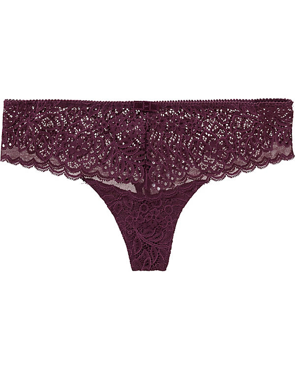 String Amourette Spotlight