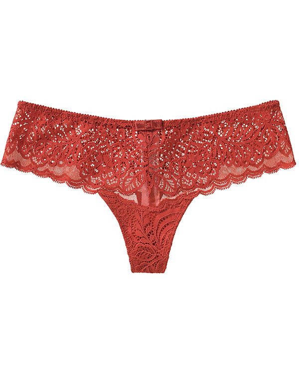 String Amourette Spotlight