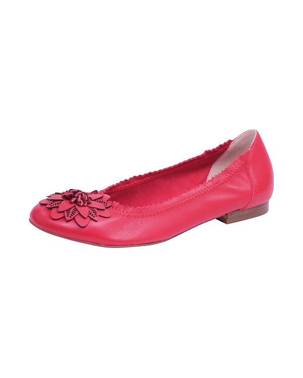 Tasina Ballerinas