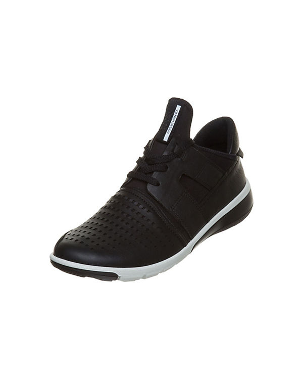 Sneakers Low