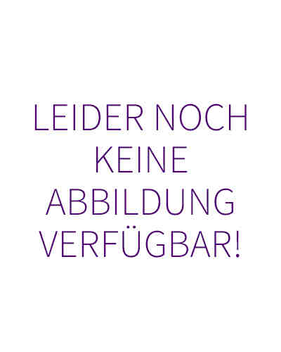 Ohrringe Kreis Geo Klassisch Funkelnd Zirkonia 585 Gelbgold 2